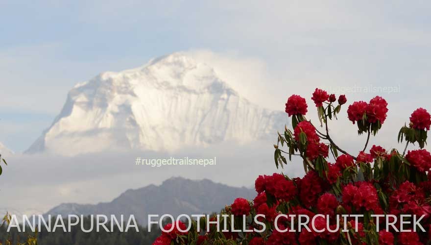 annapurna foothills trekking from pokhara